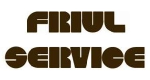 Logo FriulService